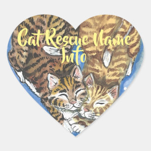 Cœur Chat Kitten Coeur Sticker Secourir Humane Personna