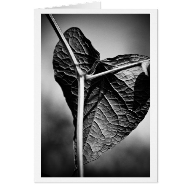 coeur crucifié (Devant)