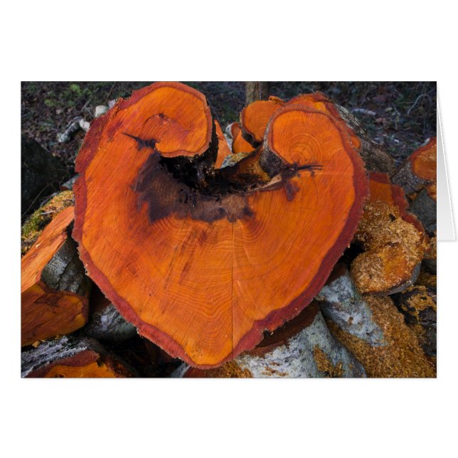 Coeur d'aulne - carte (Devant horizontal)