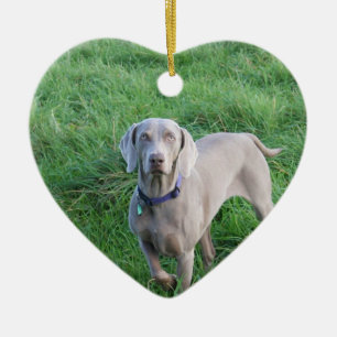 Cœur En Céramique Ornement d'amants de Weimaraner