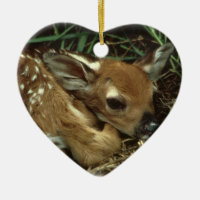 Ornement de cerfs communs de bébé