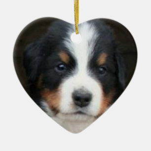 Cœur En Céramique Ornement de chiots de chien de montagne de Bernese