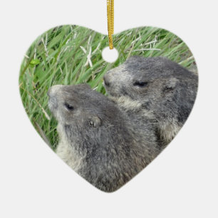 Cœur En Céramique Ornement des marmottes