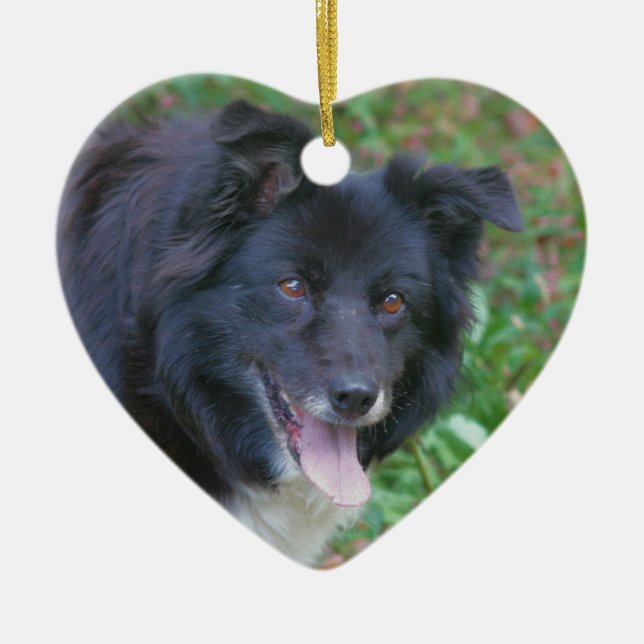 Cœur En Céramique Ornement heureux de chien de border collie de (Devant)