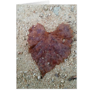 Coeur feuille Brown