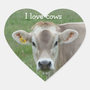 Cœur I Love Cows Jersey Cow Sticker Coeur