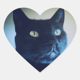 Cœur Je Suis Chat Sticker