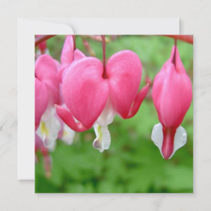Coeur rose saignant