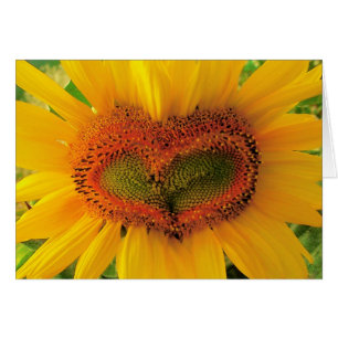 Coeur sauvage, carte de coeur de tournesol, amour,