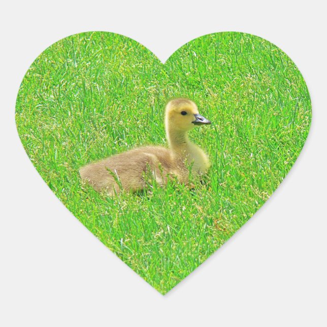 Cœur Sticker (Devant)