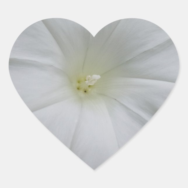 Cœur Sticker à coeur de fleurs blanches (Devant)