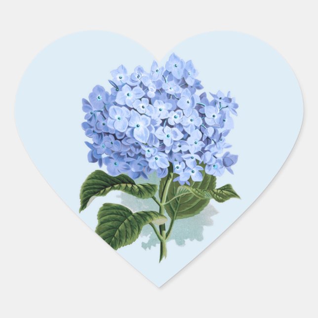Cœur Sticker à fleurs Sky Blue Hydrangea vintage (Devant)