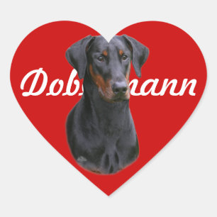 Cœur Sticker à oreille naturelle Dobermann Pinscher
