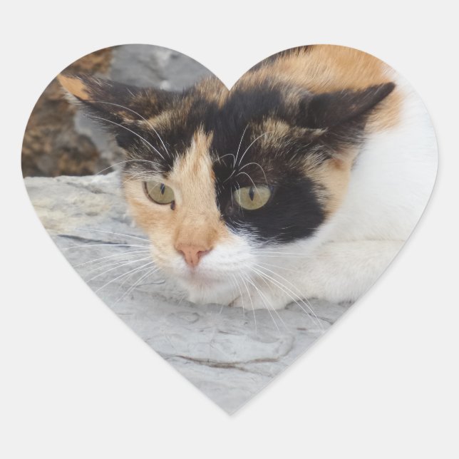 Cœur Sticker centré pour coeur de chat (Devant)