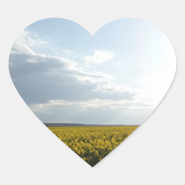 Cœur Sticker Coeur de champ de canola (Devant)