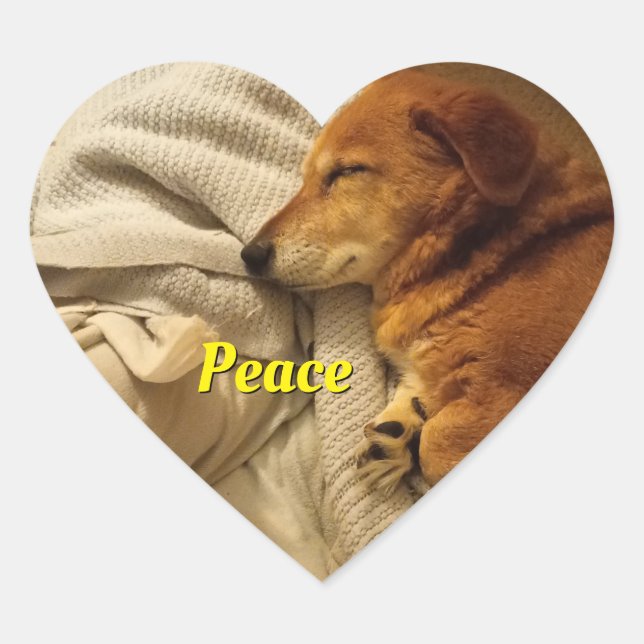 Cœur Sticker Coeur de Chien Souriant (Devant)