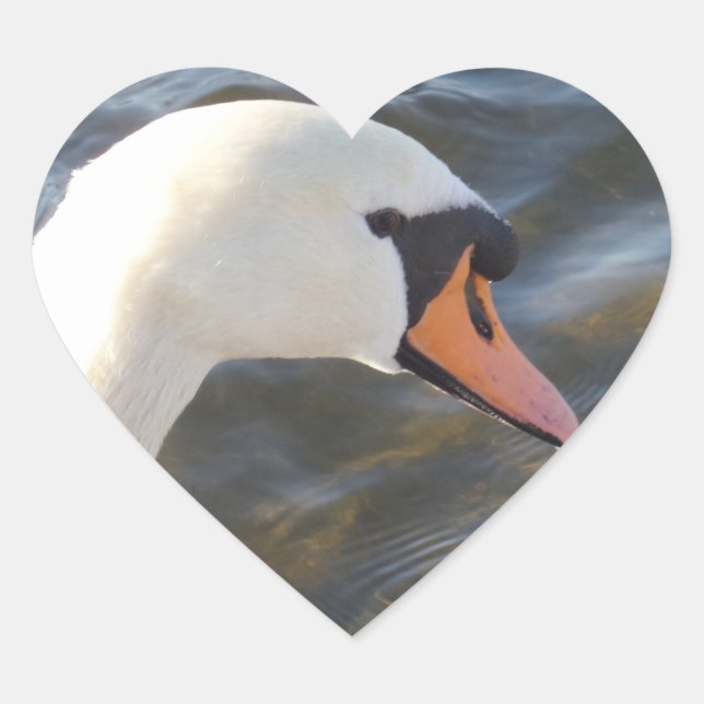 Cœur Sticker Coeur de cygne blanc (Devant)