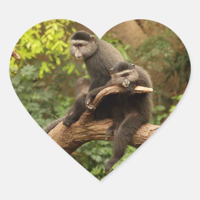 Cœur Sticker Coeur de singe (Devant)