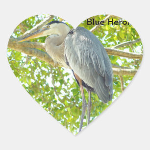 Cœur Sticker Coeur d'oiseau de grand bleu Heron