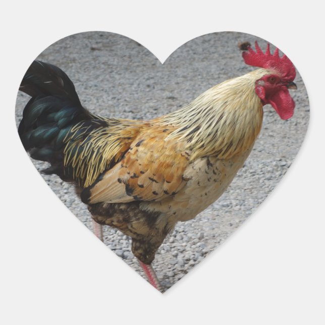 Cœur Sticker Coeur du coq (Devant)