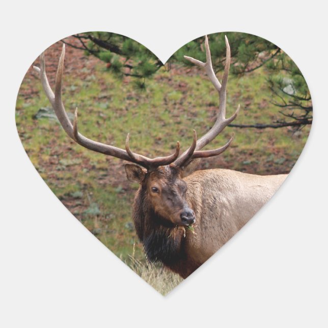 Cœur Sticker Coeur Elk (Devant)