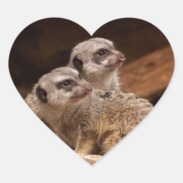 Cœur Sticker Coeur Meerkat (Devant)