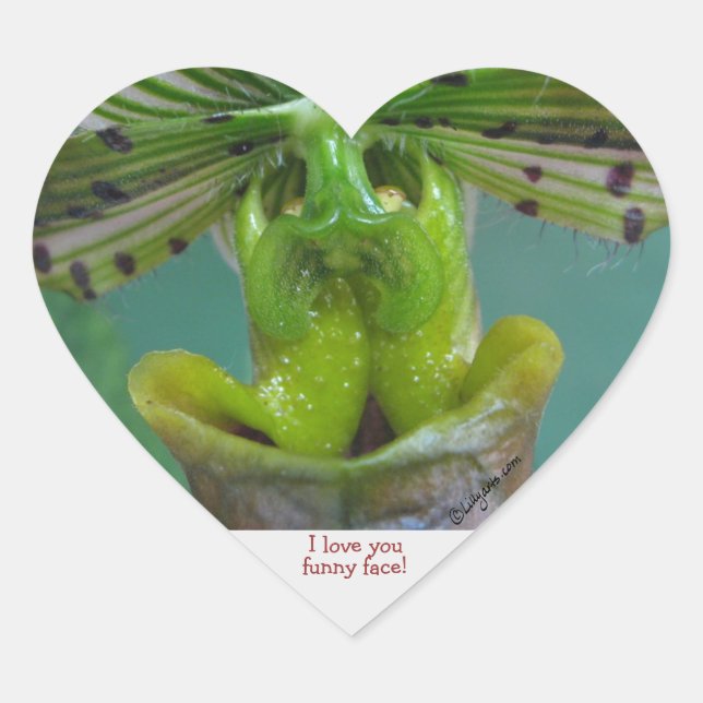 Cœur Sticker Coeur Orchidée Slipper Visage drôle (Devant)