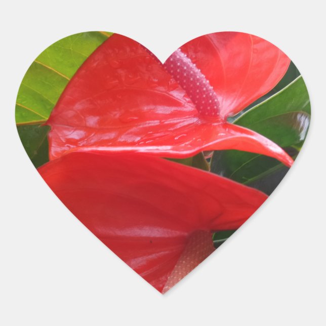 Cœur Sticker de coeur à fleurs rouges (Devant)