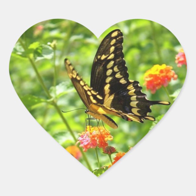 Cœur Sticker en forme de coeur brillant papillon (Devant)