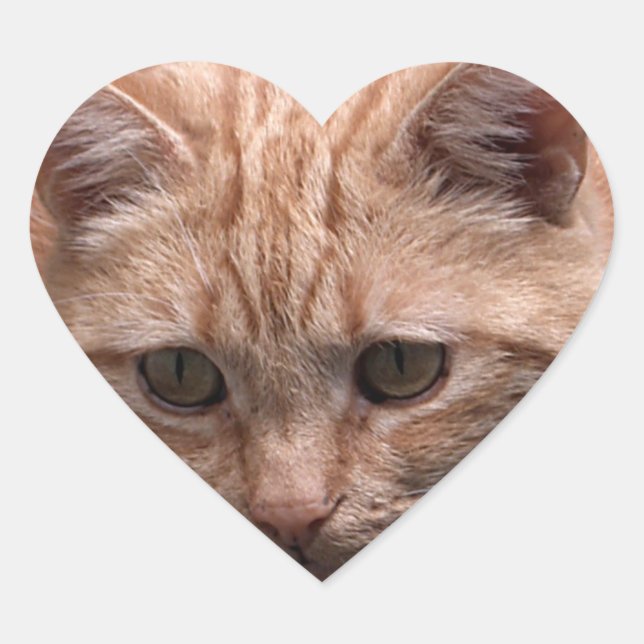 Cœur Sticker en forme de coeur de chat gingembre (Devant)