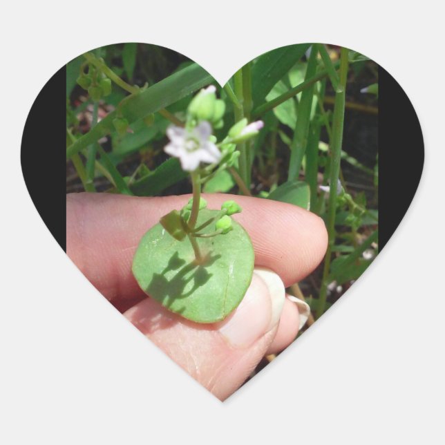 Cœur sticker en forme de coeur Little Things (Devant)
