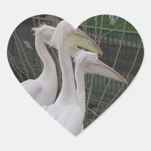 Cœur Sticker Herons Heart