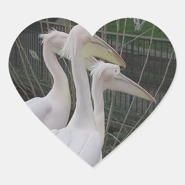 Cœur Sticker Herons Heart (Devant)