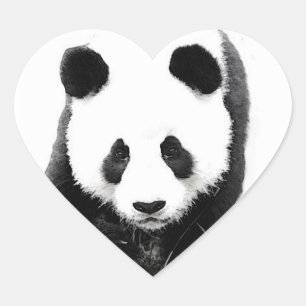 Cœur Sticker Panda Face Coeur