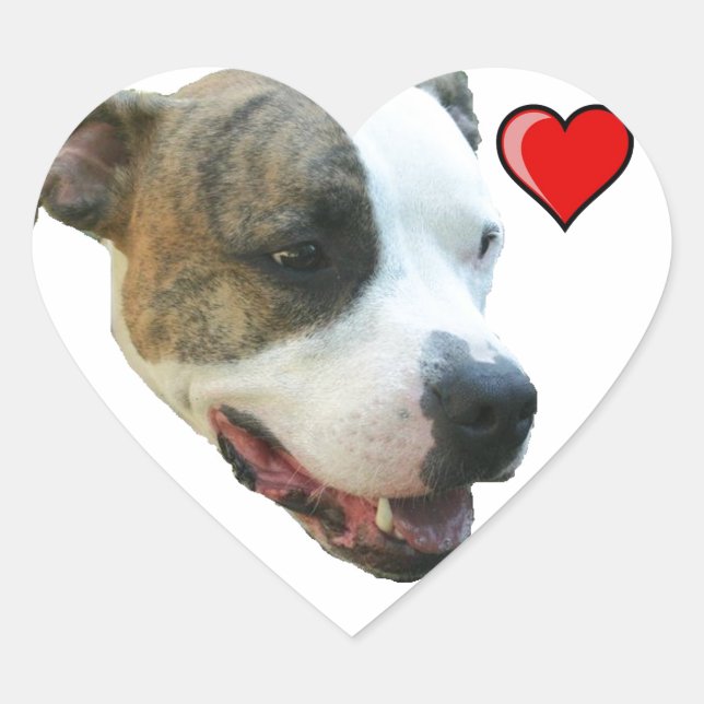 Cœur Sticker PItbull (Devant)