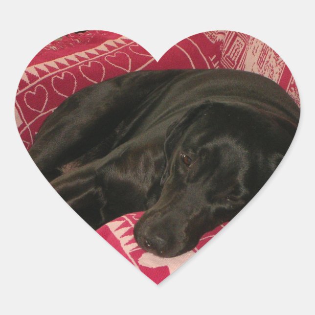 Cœur Sticker pour chien endormi (Devant)