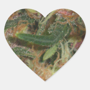 Cœur Sticker pour le coeur de mauvaises herbes