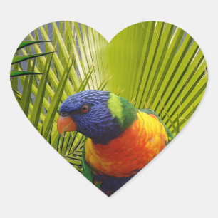 Cœur Sticker pour oiseaux tropicaux