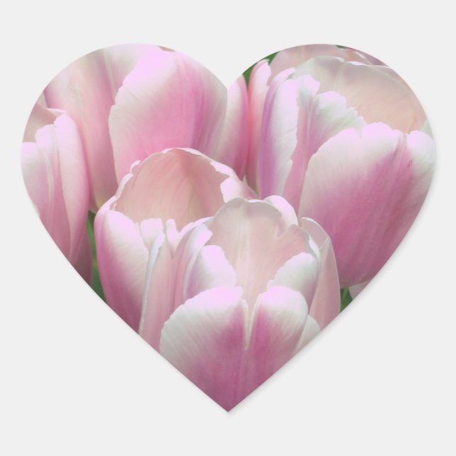 Cœur Sticker Tulips rose (Devant)