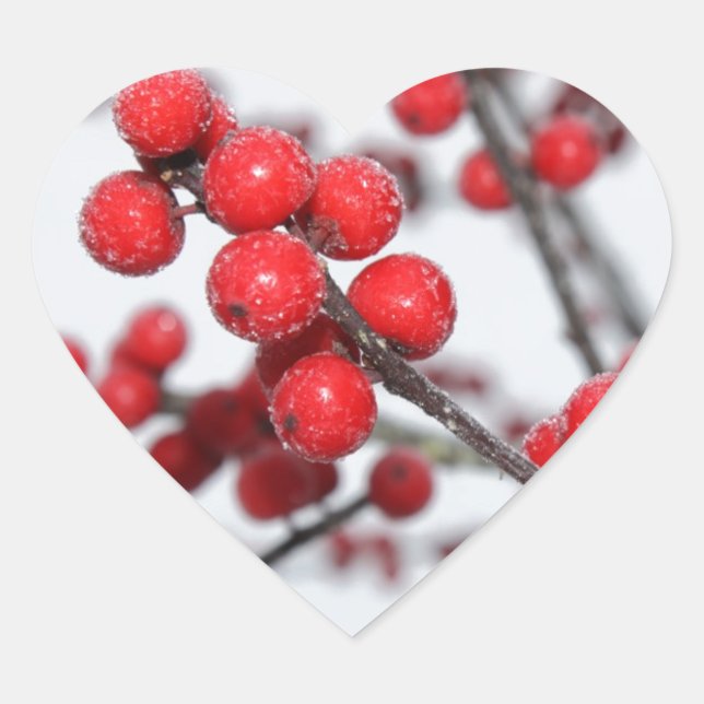 Cœur Sticker Winterberry (Devant)