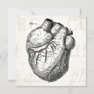 Coeurs cardiaques rétro Cardiac des années 1800 vi
