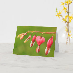 Coeurs saignants Bonne carte d'anniversaire