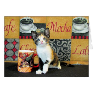 Coffe, thé, ou Meow - Leilani