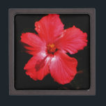 Coffret A Bijoux Fleur d'Hibiscus rouge rose chaud sur noir<br><div class="desc">Belle photo d'une fleur d'Hibiscus rouge rose chaud sur le noir par l'artiste Sandra Marie Closs. Ajoutez votre propre texte, nom ou monogramme pour créer le produit parfait pour toute occasion. Mariage, fête de la mariée jardin, sympathie, anniversaire, baby shower, toute célébration ou juste pour rendre votre journée un peu...</div>
