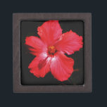 Coffret A Bijoux Fleur d'Hibiscus rouge rose chaud sur noir<br><div class="desc">Belle photo d'une fleur d'Hibiscus rouge rose chaud sur le noir par l'artiste Sandra Marie Closs. Ajoutez votre propre texte, nom ou monogramme pour créer le produit parfait pour toute occasion. Mariage, fête de la mariée jardin, sympathie, anniversaire, baby shower, toute célébration ou juste pour rendre votre journée un peu...</div>