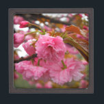 Coffret A Bijoux Fleurs de fleurs de cerisier rose chaud<br><div class="desc">Fleurs de fleurs de cerises roses chaudes Photo de Sandy Closs prise au lac Arrowhead Rose,  fleur,  fleurs,  floral,  printemps,  cerise,  cerises,  jardin,  mariage,  mariages, </div>
