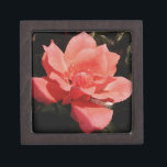 Coffret A Bijoux Joli rose rose Peach floral<br><div class="desc">Rose Peach Rose Belle photo d'une rose rose païenne par l'artiste Sandra Marie Closs. Ajoutez votre propre texte, nom ou monogramme pour créer le produit parfait pour toute occasion. Mariage, fête de mariée jardin, sympathie, anniversaire, baby shower, toute célébration ou juste pour rendre votre journée un peu plus agréable. floral,...</div>