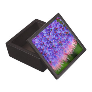 Coffret A Bijoux Le rose fouette la boîte-cadeau de la meilleure