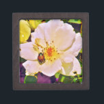 Coffret A Bijoux Le scarabée japonais sur la rose blanche<br><div class="desc">Belle photo d'un scarabée japonais sur Rose jaune blanche par l'artiste Sandra Marie Closs. Ajoutez votre propre texte, nom ou monogramme pour créer le produit parfait pour toute occasion. Mariage, fête de mariée jardin, sympathie, anniversaire, baby shower, toute célébration ou juste pour rendre votre journée un peu plus agréable. floral,...</div>