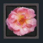 Coffret A Bijoux Pink Rose w/ Dew Drops Black Background<br><div class="desc">Rose rose avec gouttes de pluie Arrière - plan noir Apportez la beauté de la nature à toutes les occasions spéciales avec cette Rose rose populaire, Parfait pour les fiançailles mariage, fêtes de mariée, anniversaires, anniversaires, fêtes de jardin Ajouter un texte sur Produits. Tout est entièrement personnalisable. Pour ajouter/modifier le...</div>